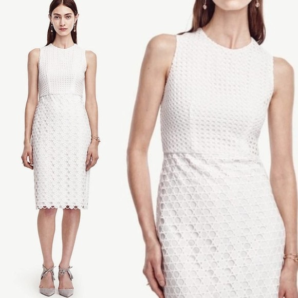 Ann Taylor Petite Geo Lace Eyelet Sheath Dress White - Picture 1 of 9